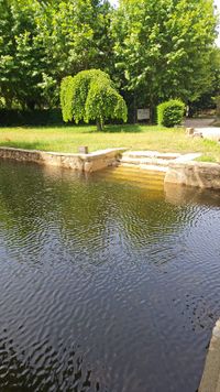 Nuestros Alrededores